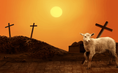 (We Forget) the Remedy for Restlessness