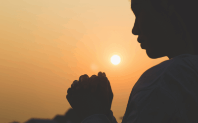 Not Performance, Presence