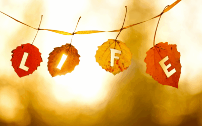 Seasons of Life (A Gentle Guide, Not a Rule Book)